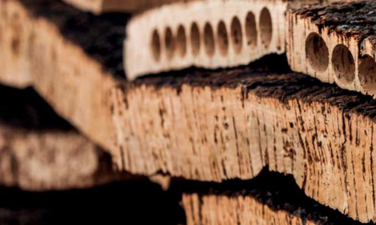 uncork-power-of-cork-1024x545